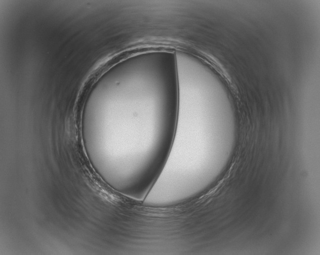 X0000084001172200702160749