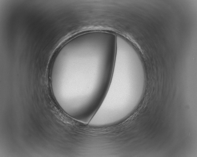 X0000084001173200702160749