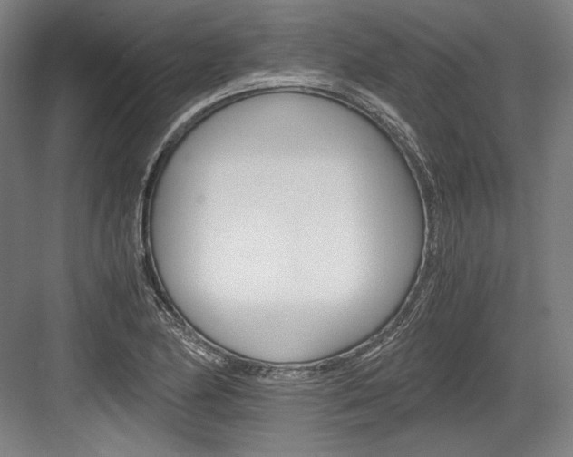 X0000084001174200702160749