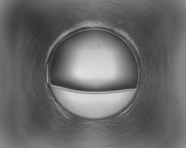 X0000084001175200702160749