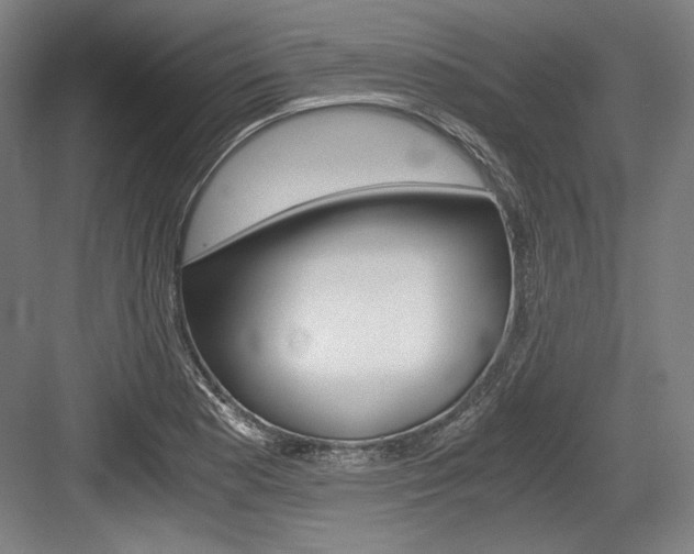 X0000084001177200702160749