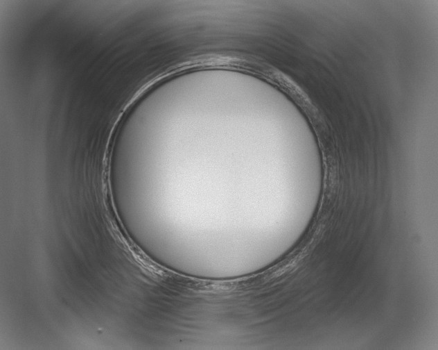 X0000084001178200702160749