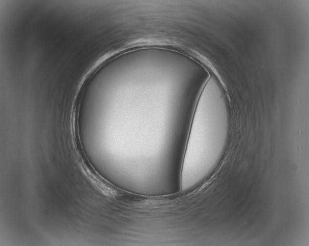 X0000084001179200702160749