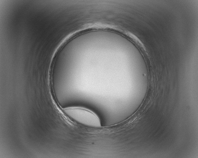 X0000084001183200702160748