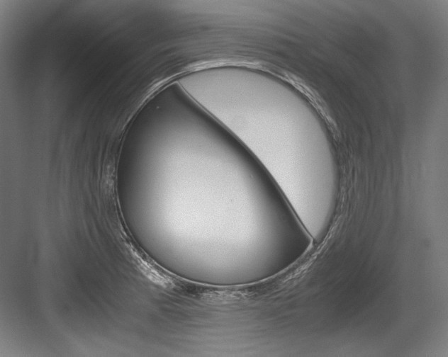 X0000084001185200702160748