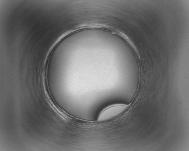 X0000084001187200702160748