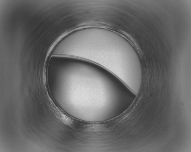 X0000084001188200702160748