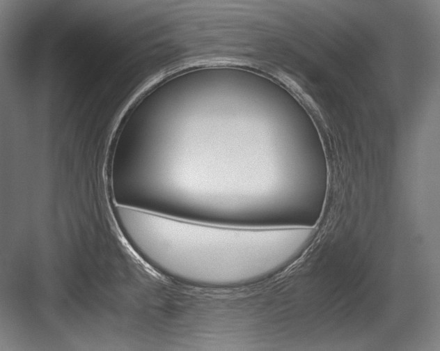 X0000084001189200702160748