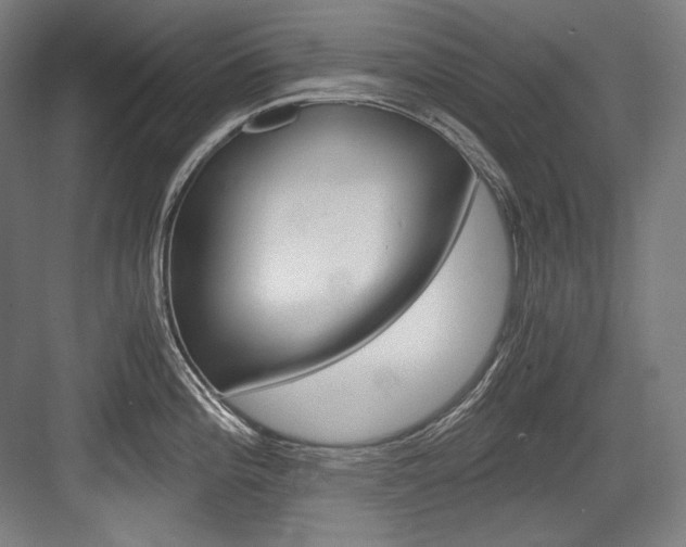 X0000084001196200702160748