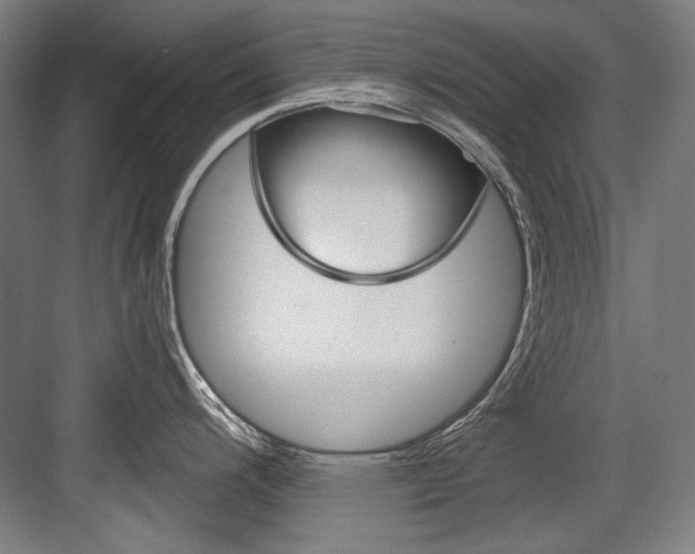 X0000084001200200702160748