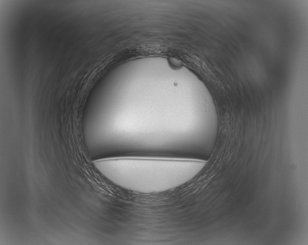 X0000084001201200702160747