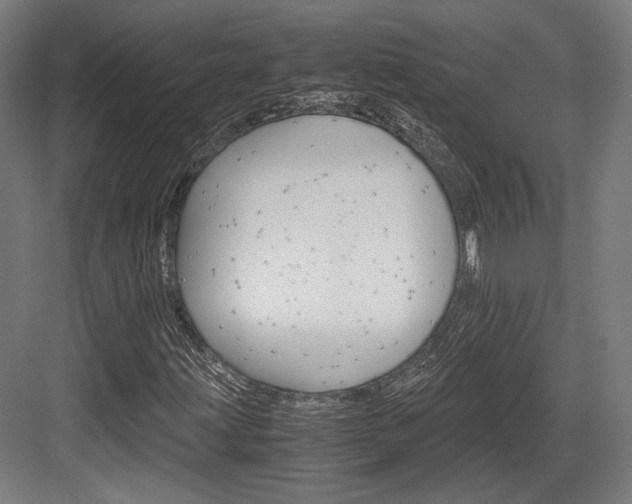 X0000084001203200702160747