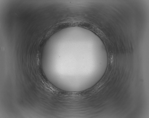 X0000084001204200702160747