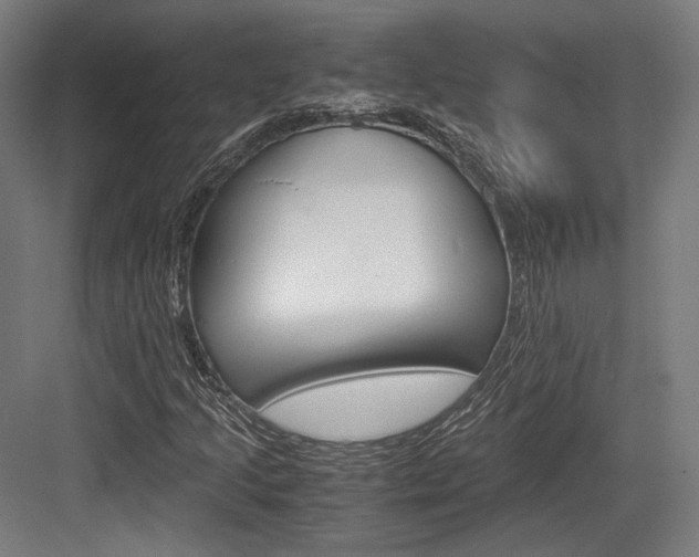 X0000084001205200702160747