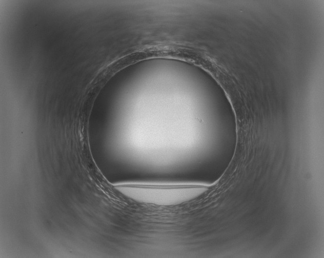 X0000084001206200702160747