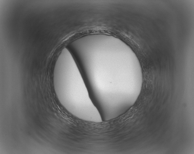 X0000084001207200702160748
