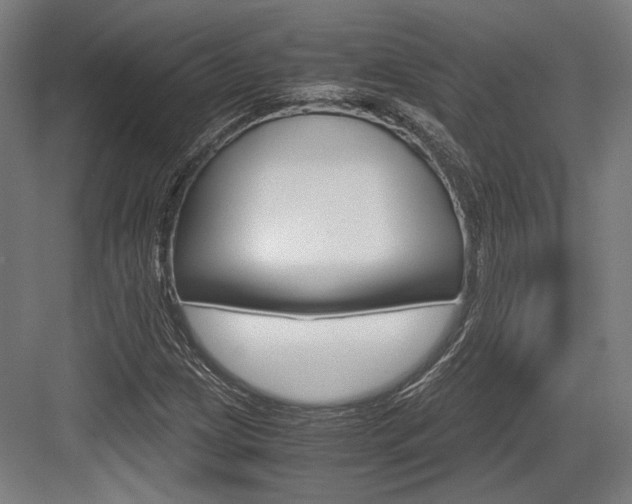 X0000084001209200702160748