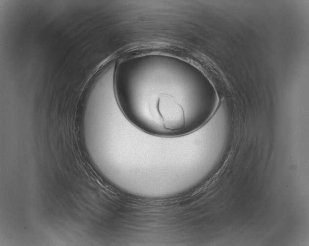 X0000084001210200702160748
