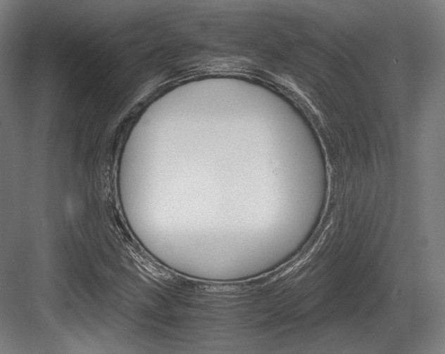 X0000084001211200702160748