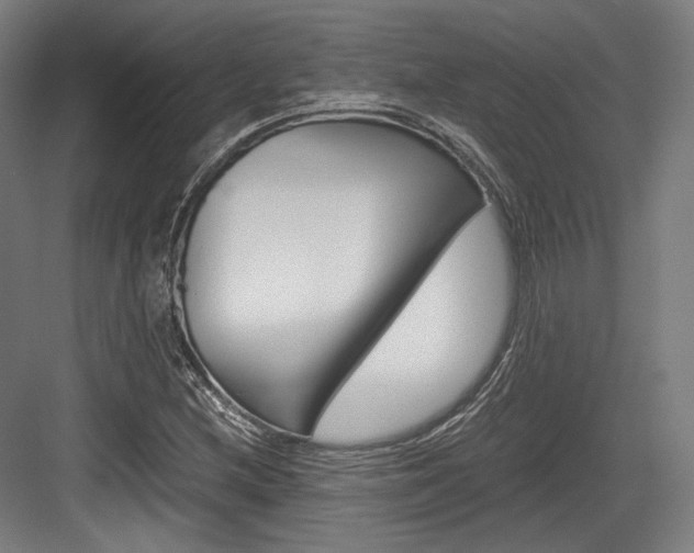 X0000084001212200702160748