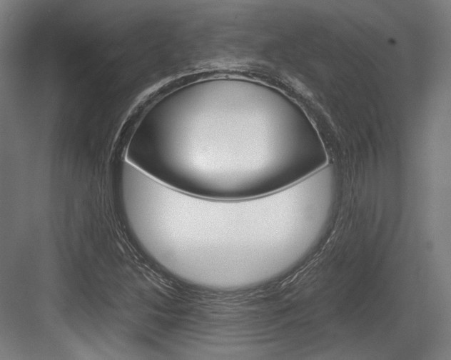 X0000084001214200702160748