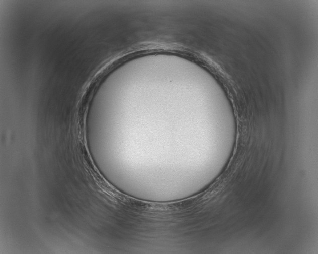 X0000084001215200702160748