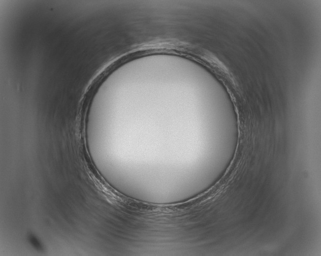 X0000084001216200702160748