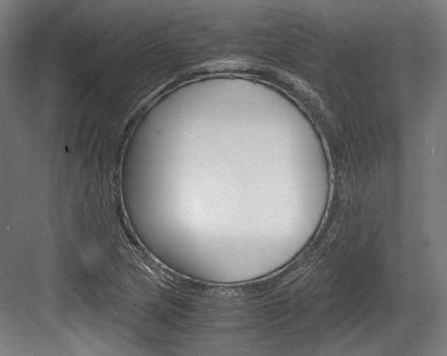 X0000084001217200702160748