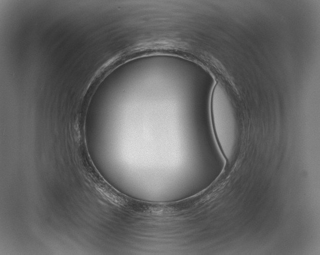 X0000084001218200702160748