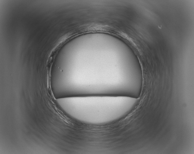 X0000084001219200702160748