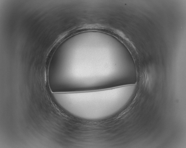 X0000084001221200702160748