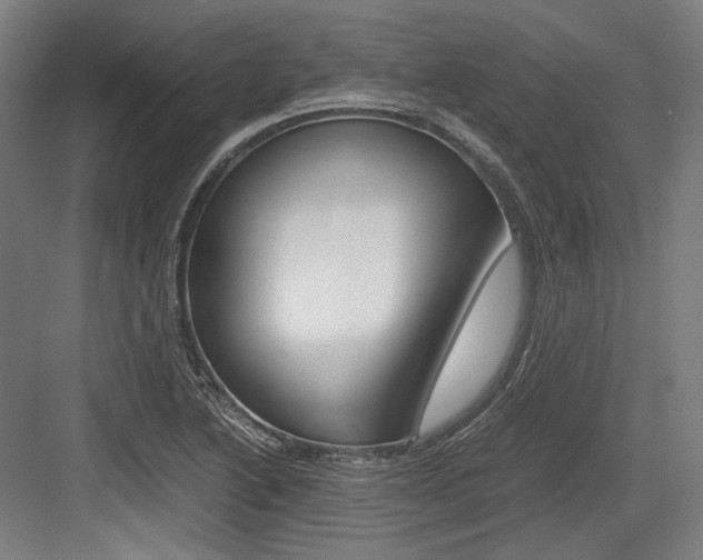X0000084001222200702160748
