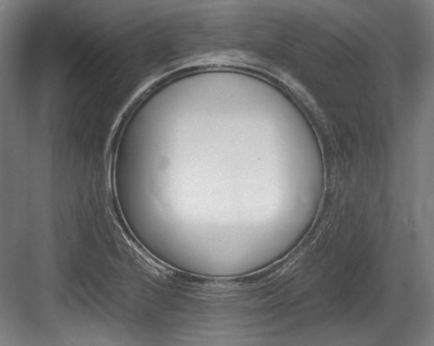 X0000084001224200702160748