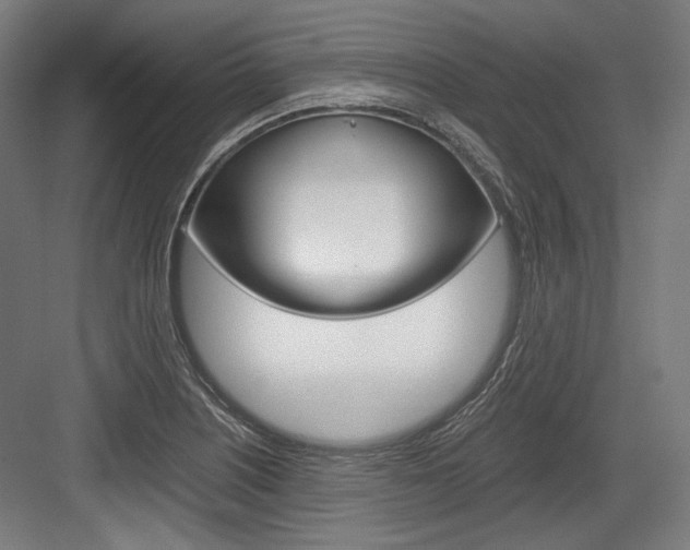 X0000084001226200702160748