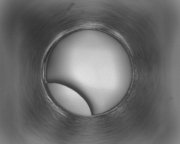 X0000084001227200702160748