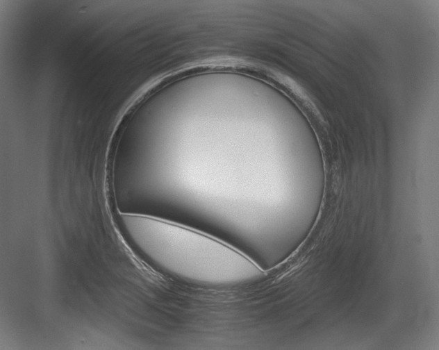X0000084001229200702160748