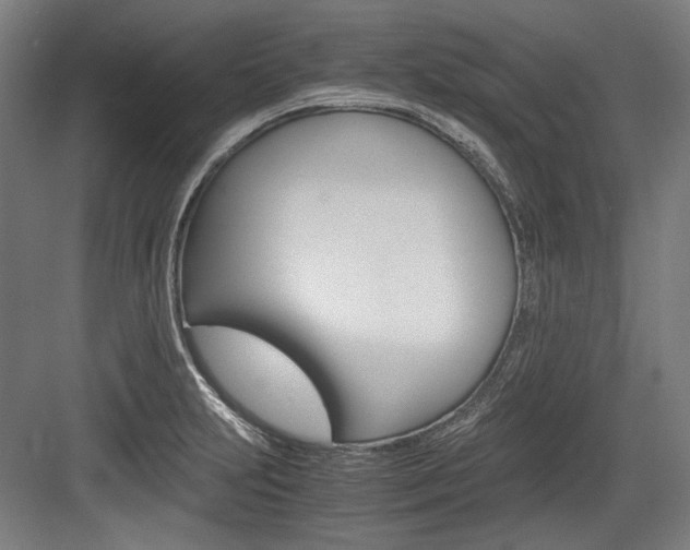 X0000084001231200702160748