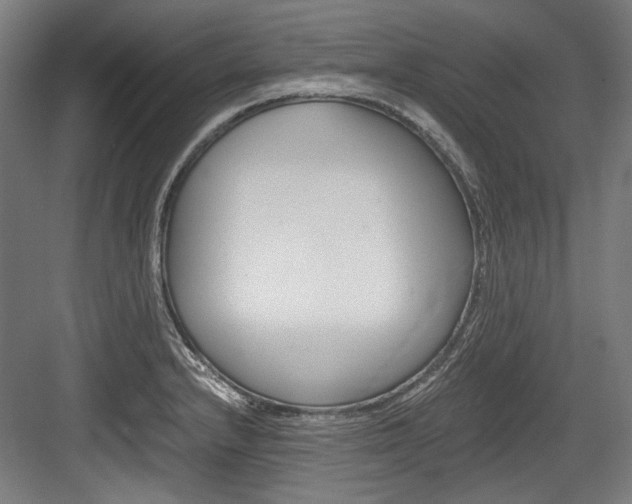X0000084001232200702160748