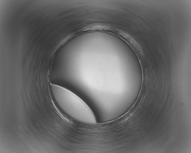 X0000084001233200702160748