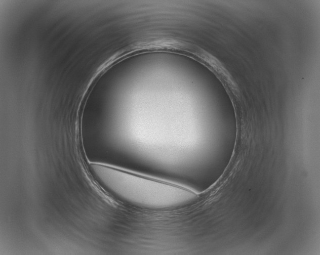 X0000084001234200702160748