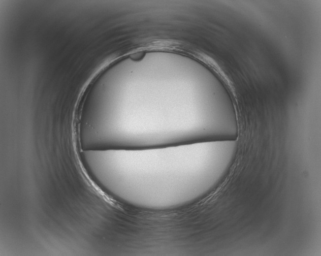 X0000084001235200702160748