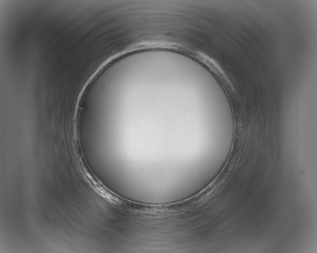 X0000084001236200702160748
