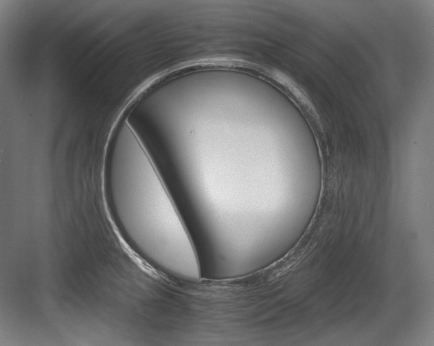 X0000084001237200702160748
