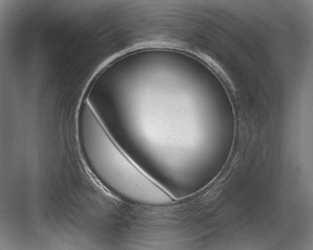 X0000084001238200702160748