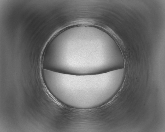 X0000084001240200702160748