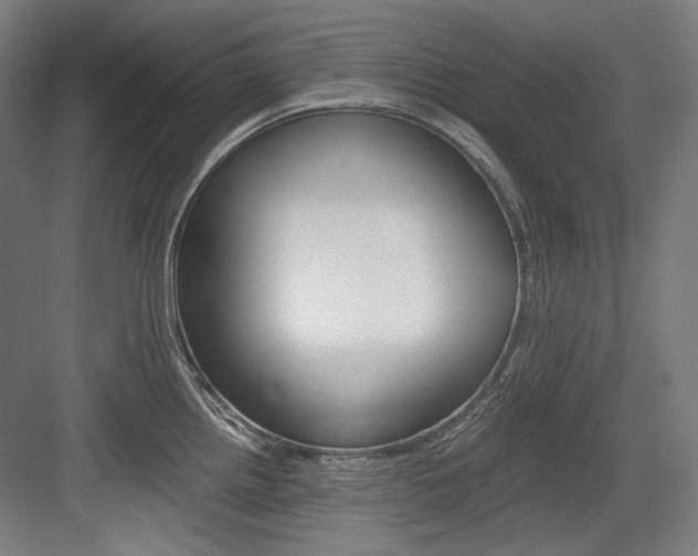 X0000084001242200702160748