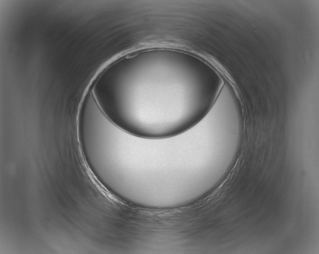 X0000084001246200702160748