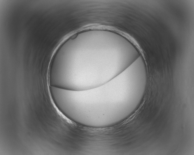 X0000084001247200702160748
