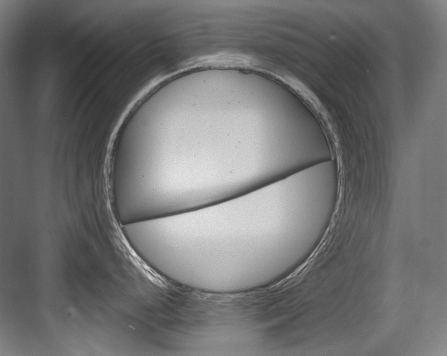 X0000084001248200702160748