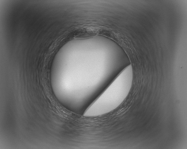 X0000084001249200702160747